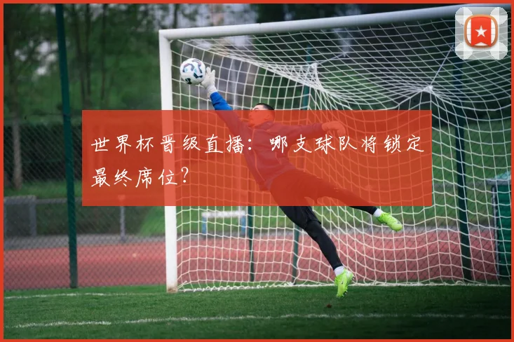 世界杯晋级直播:哪支球队将锁定最终席位?